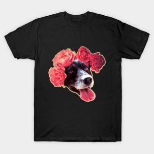 Border Collie with Flowers T-Shirt